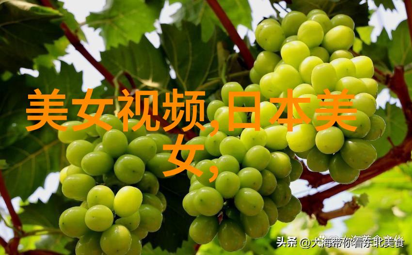 从笑话到诗意美女放屁背后的文学创作世界观探讨