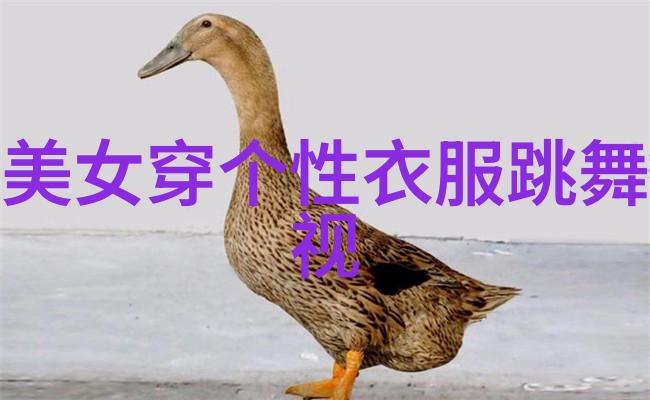 父母坚持独自面对生育挑战不盖被子的全程录制视频让世界震撼
