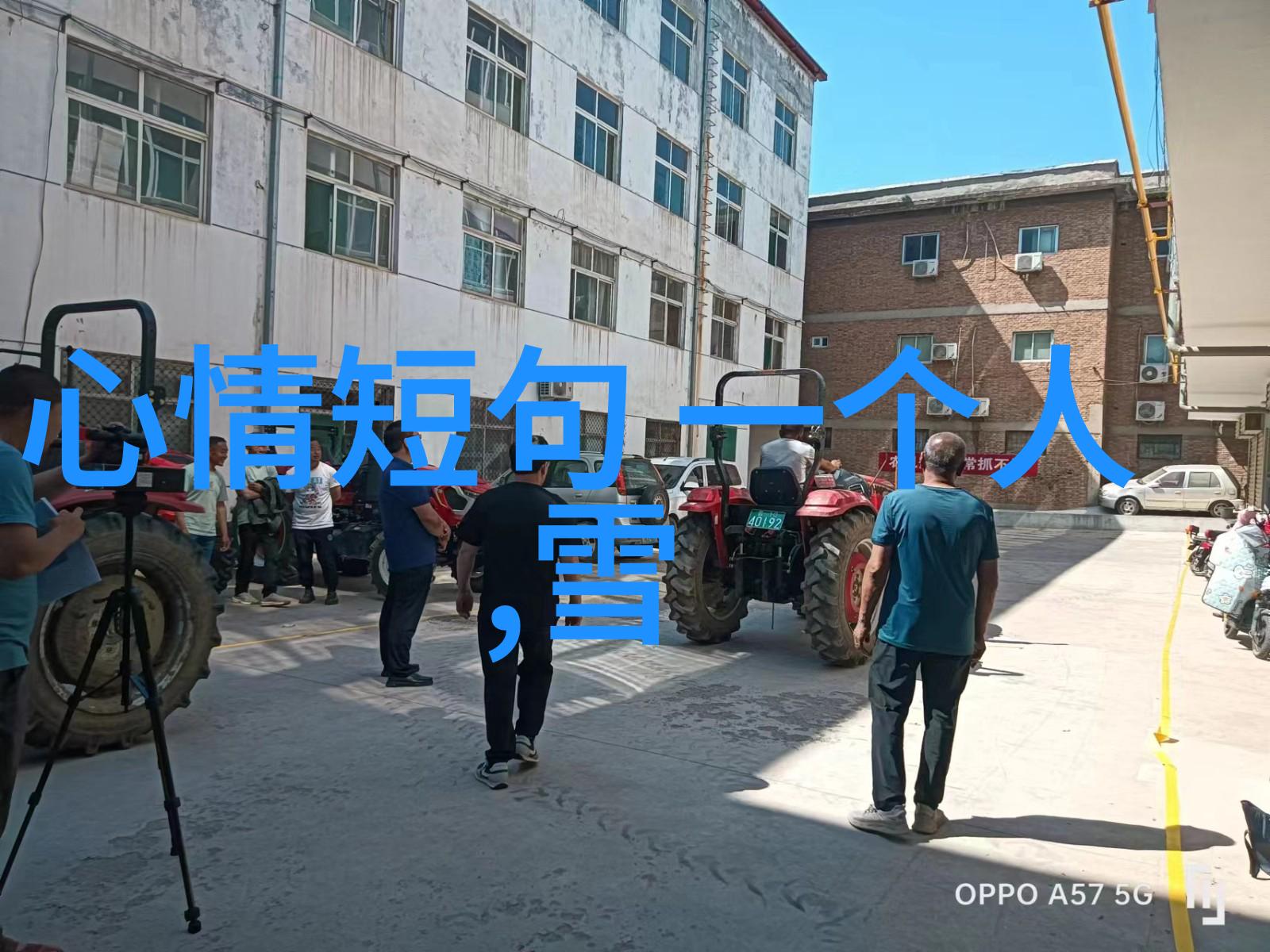 拂晓启航每天早上的金句与生活智慧