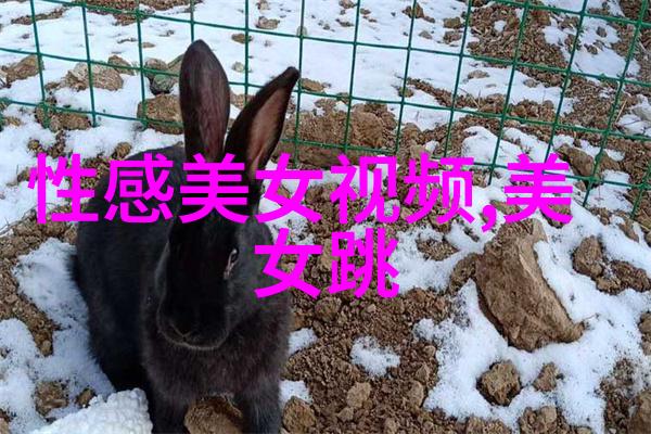 诗意画卷梦幕轻纱
