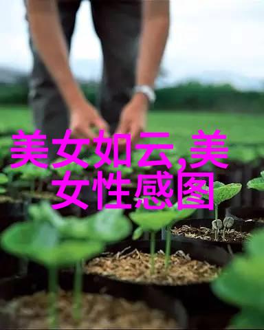 狂躁美女大BBBBBB激情四射的欲望旋涡