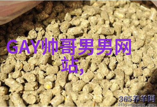 阳光初照早晨的温馨祝福与启示