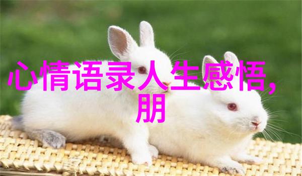 夜晚的禁令百大企业B站入口被迫关闭