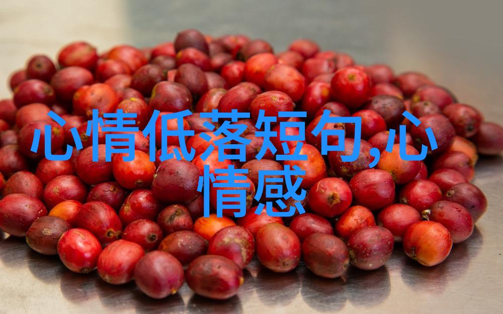 隐私与道德探讨40张不应公开的照片中的界限