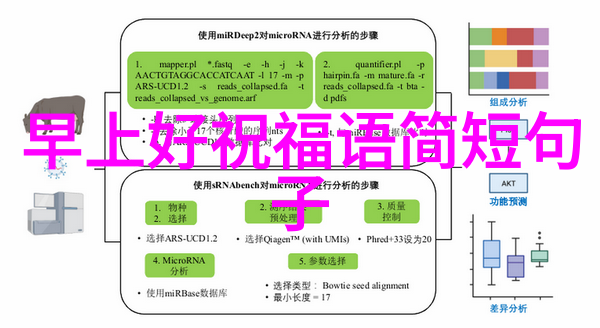 宝宝我们换个姿势撞一撞视频我和宝宝的超有趣撞击挑战