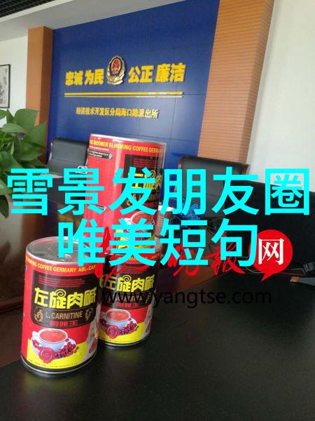 哆啦A梦大雄与天空的理想乡主题曲发布传递友情勇敢做自己在自然的世界中探索分为几个大陆的奥秘