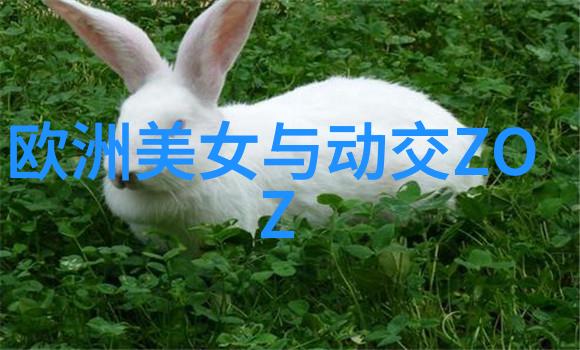 解密哪些因素使得一个简单的视频成为传说的三千三百三十三系列
