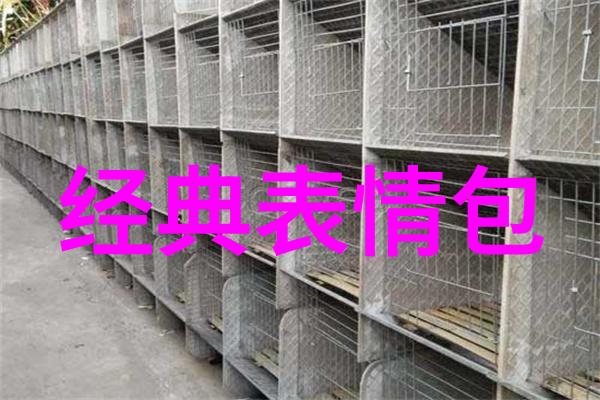 为什么刘宇宁与刘诗诗携手斗罗大陆樱花动漫官方却传出哭泣表情