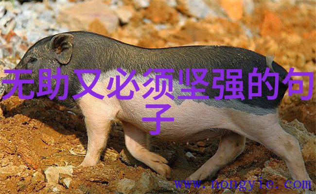 衡水校长称已注意到网红要打衡中mc九局个人资料女朋友mc九局为什么不直播了