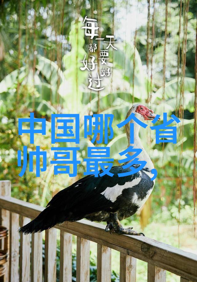 欢迎光临电视剧杜宇森一不小心顺走了将军今日开播潭岭白月光变身将军府呆萌侍卫在大自然的怀抱中展现出独特