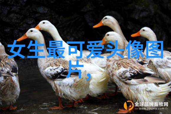 震撼回忆录亲身经历过那一刻世界为何在我眼前崩塌