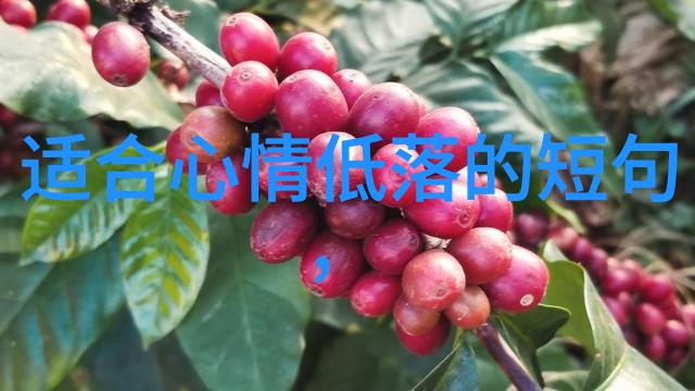 萌宠日记 - 可爱萌萌哒我们的家有了新成员