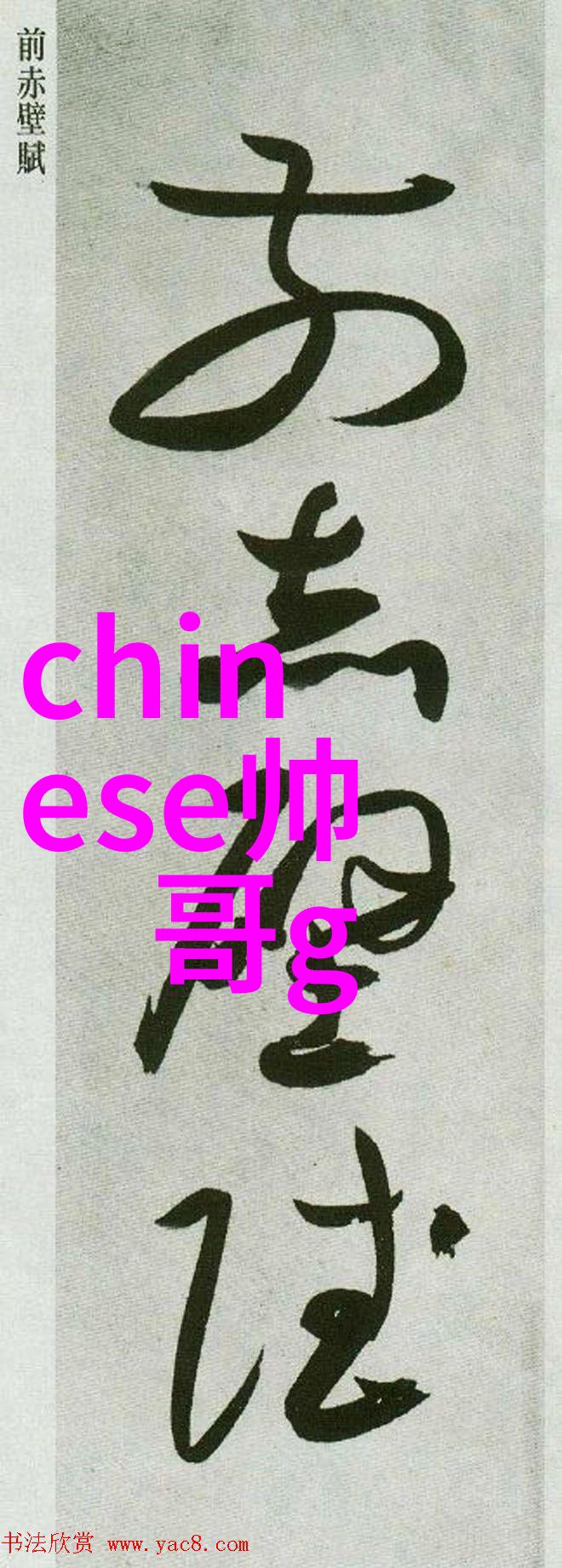 肉搏团-铁血兄弟揭秘军队中最激烈的肉搏团