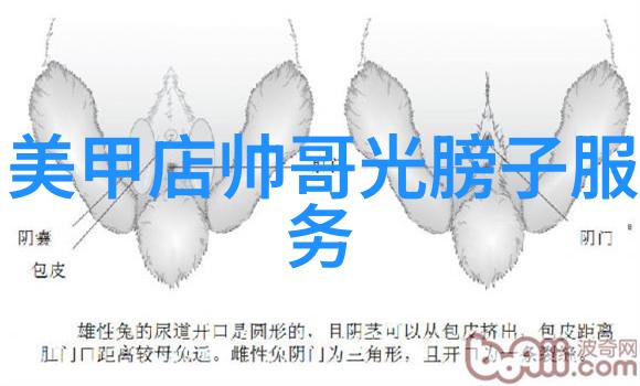 文字生成器创意无限的编程艺术