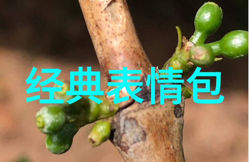 使用第三方应用程序来增强你的QQ 群体验这个好主意吗