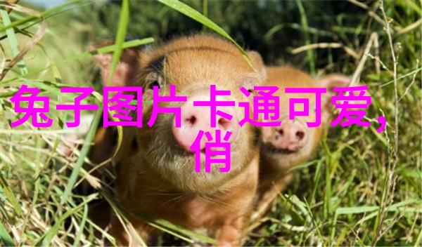 快车追梦一段意外的加速之旅