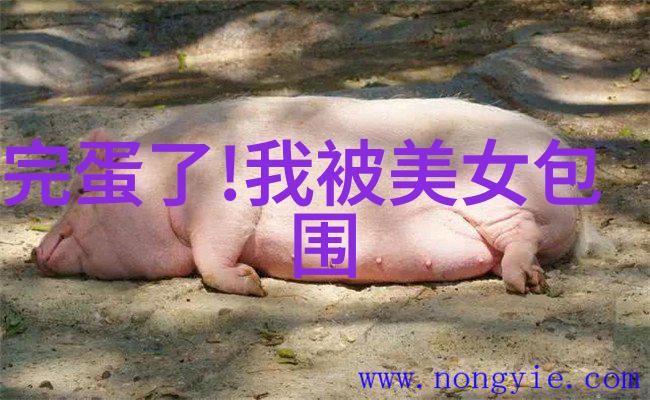 正常的开始恐怖的爆发揭秘那些让人捂目而视的视频