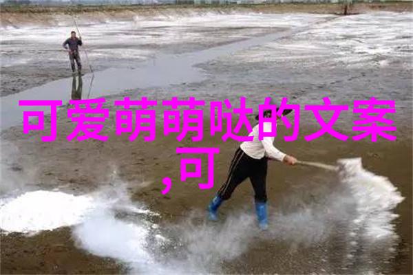 生僻字汉字大全10000个-探索罕见文字百万汉字宝库的奇迹与挑战