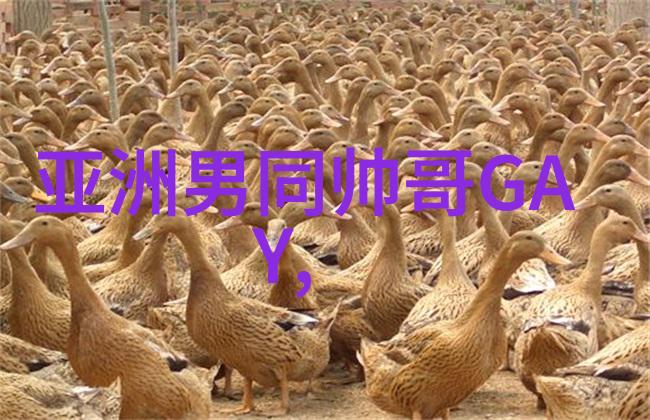 早安干净短句晨光清新的日常开始