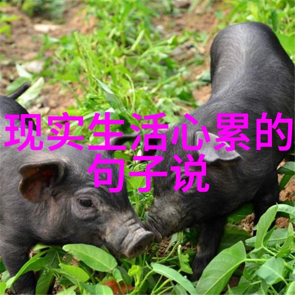 微信群名热度大爆发2022年最潮的聊天室名字