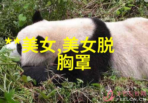 良好的心态是成功的基石