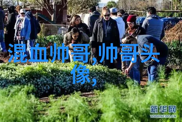 早晨阳光的礼物温暖心房的第一缕光芒