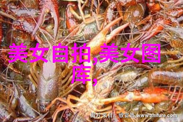 风铃梦想卡通女生背后的艺术世界