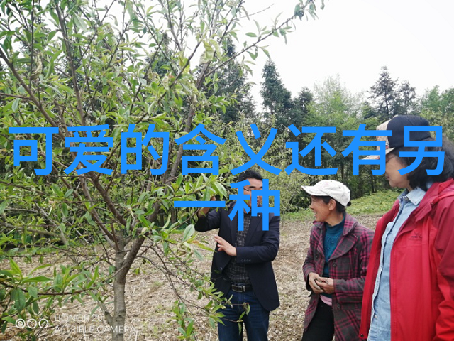 免费图片文字提取器解锁照片中的秘密信息