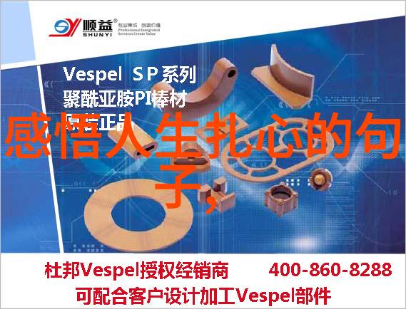 家园净化使者探索麻豆精品家政保洁员的服务之道