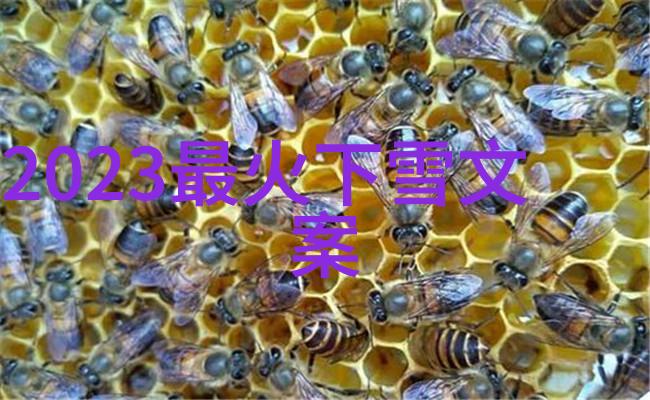 微信群的新玩法无门槛进入社交体验升级