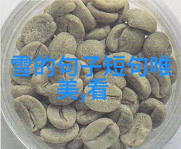 在现代社会中我们还能通过什么方式继续观察和学习这些演变过程