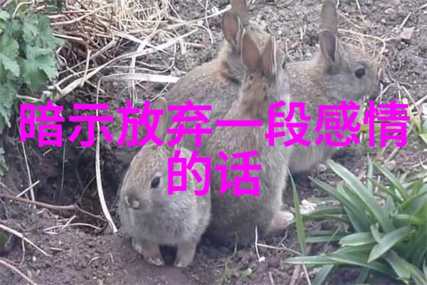 免费单身相亲微信群-爱的启航免费单身相亲微信群的温暖故事