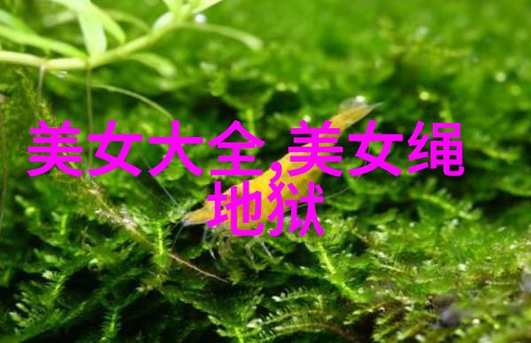 恐怖与和平交织的边境缅北的视频录像