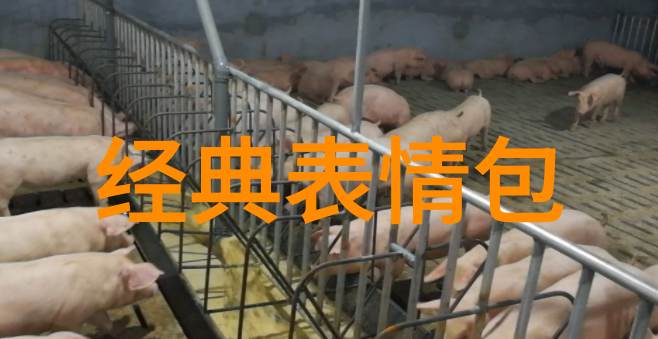 免费加群轻松搞定社交圈子