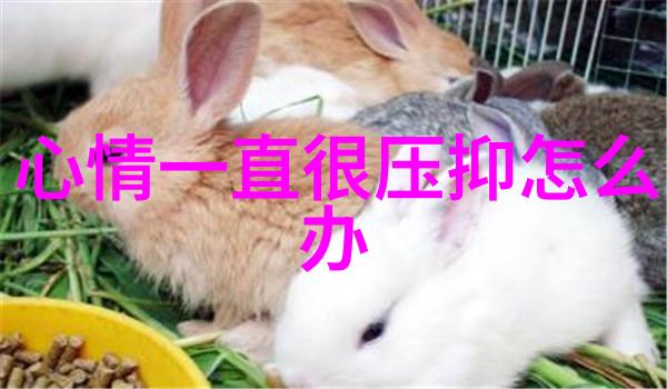 每天早上的微信问候打造温馨日常的开端
