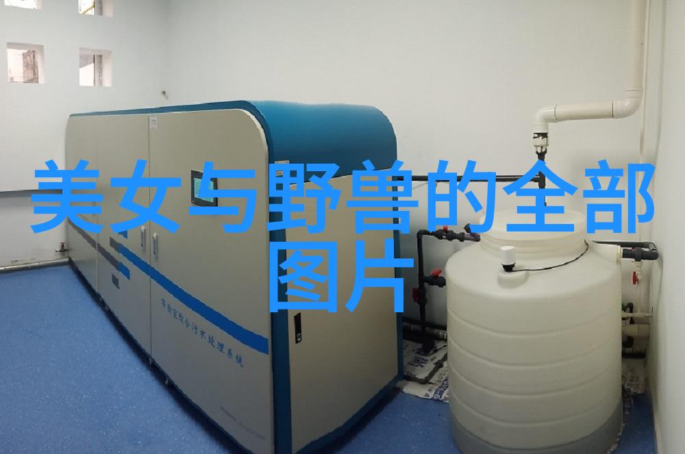 跨文化角度下的萌文化国际视角中对可爱图像的理解与接受程度是怎样的