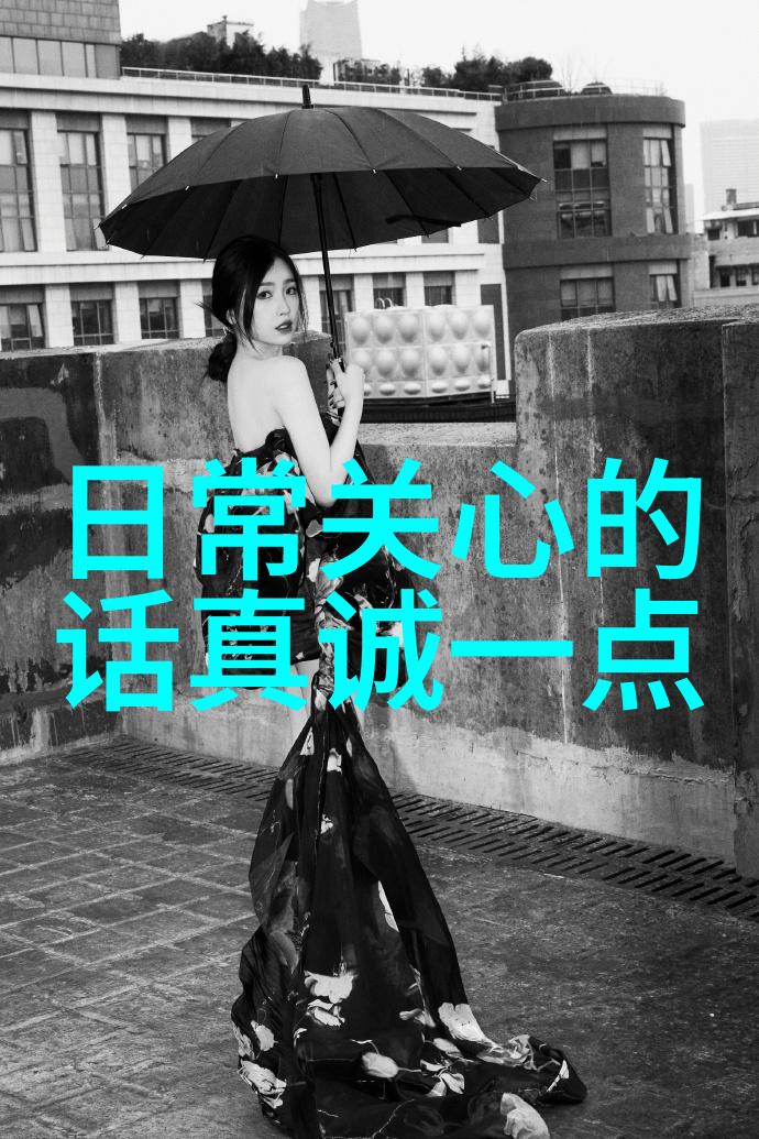 皇朝秘史揭秘权力斗争与隐秘面纱