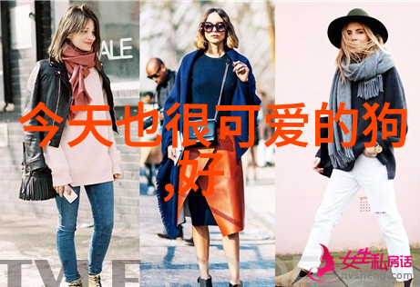 体育生帅哥骑乘现象的文化解读与社会影响分析