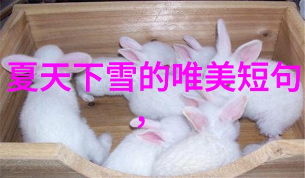 捉迷藏的卡通世界探索可爱图片背后的故事与魅力