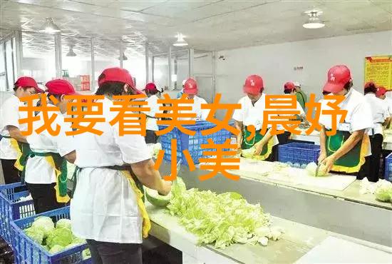 美女裸照-隐私与欲望解读美女裸照在现代社会中的文化意义