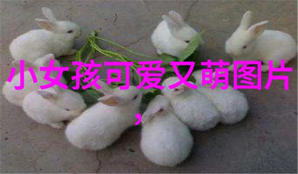 公路之歌血路上的颂歌