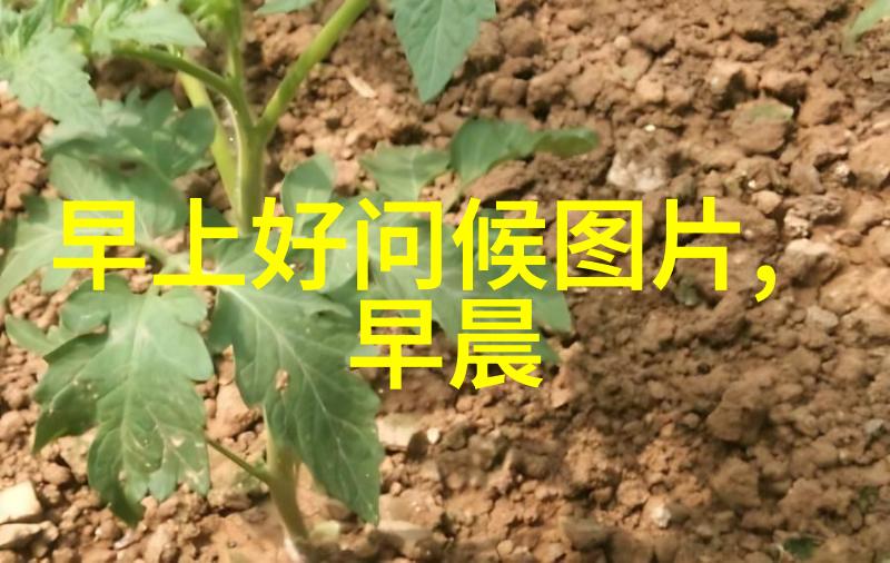 他们之间的情感纠葛又该如何解决呢