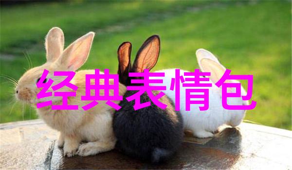 发一个心累的朋友圈我是不是把所有的烦恼都发在了朋友圈里