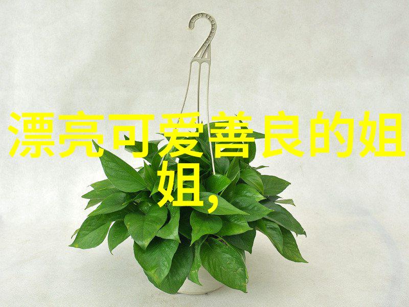 晨曦礼赞探究早安高雅问候的文化内涵与学术价值