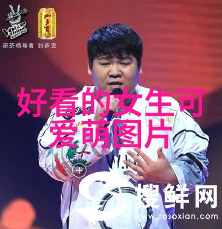 星光引导者明星鼓励师的无声赞歌
