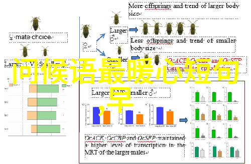 为什么这些句子句句关于爱情现实的成熟语录会让人如此痛心