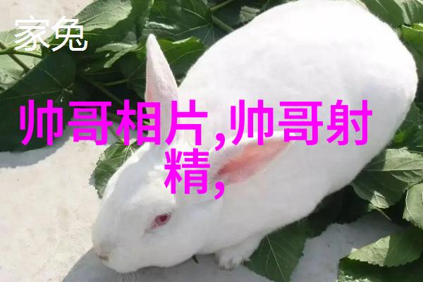 温暖心灵的可爱瞬间精选图片集