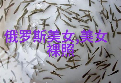 文字表情包我的语气世界
