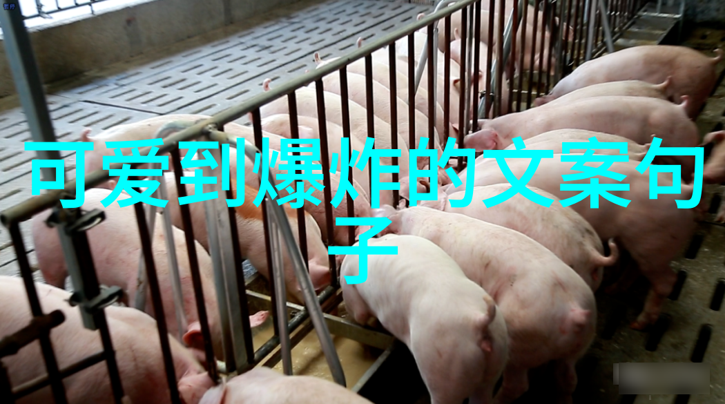 主题我被这句话彻底心寒了老板说我就是公司的累赘