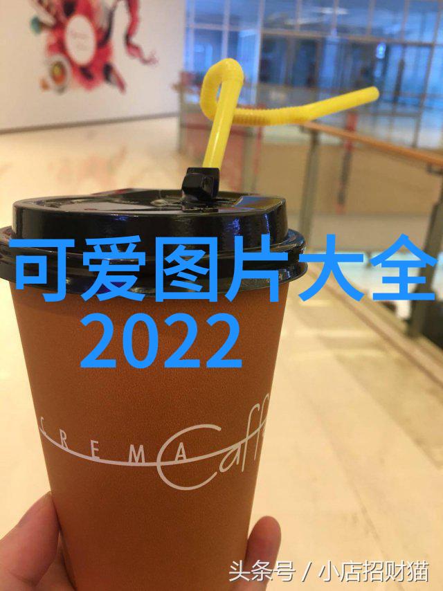 冬日之约绽放的雪花温暖的友谊